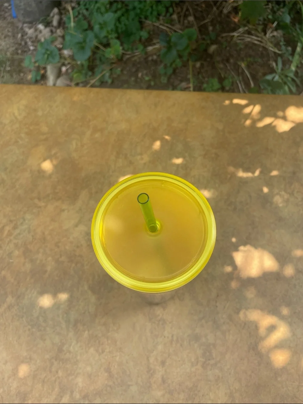 Starbucks Florida Discovery Series Tumbler - Yellow & Green